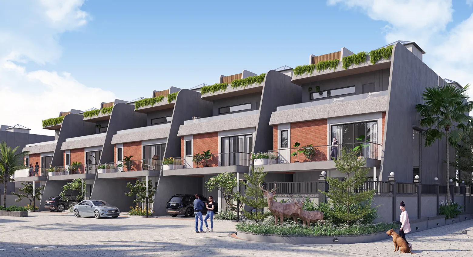 project View Image